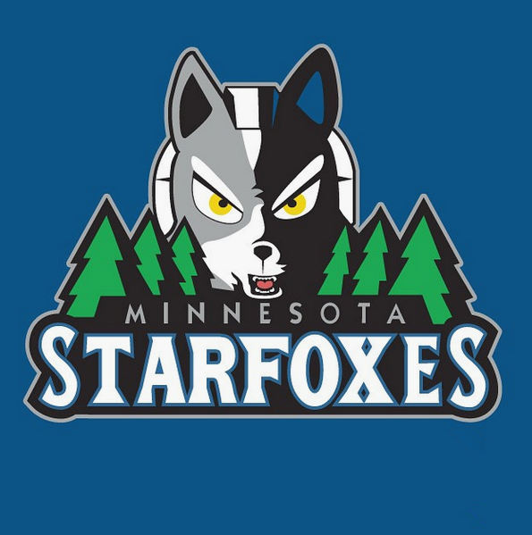 Minnesota Starfoxes logo fabric transfer